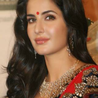 Katrina Kaif saree wallpaper