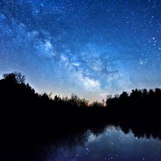 Sleeping bear wallpaper