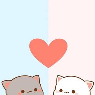 Matching cats wallpaper