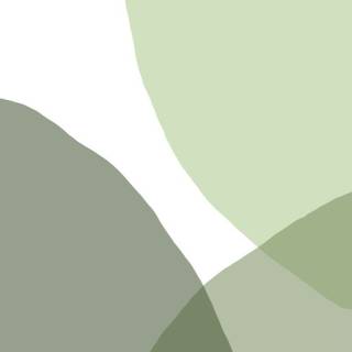 Boho green wallpaper