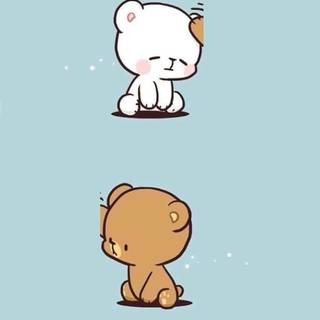 Matching cats wallpaper