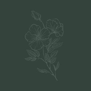 Boho green wallpaper