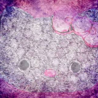 Hello Kitty computer grunge wallpaper