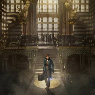 Harry Potter minimalist 4k wallpaper