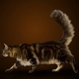 Bramblestar wallpaper