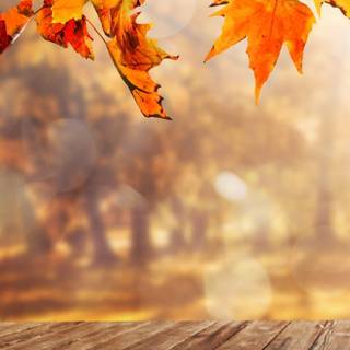 Vitage autumn wallpaper