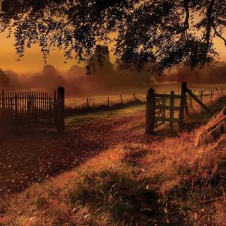 Brown autumn desktop wallpaper