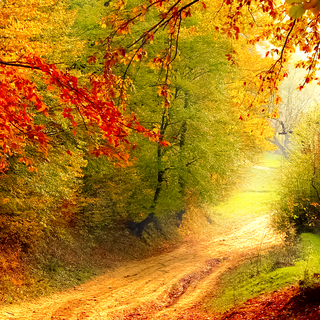 Autumn art phone wallpaper