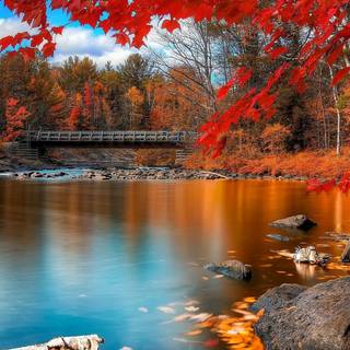 Autumn art phone wallpaper