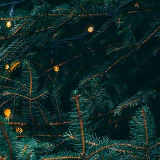 5120x1440 Xmas wallpaper