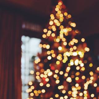 Blur Christmas wallpaper