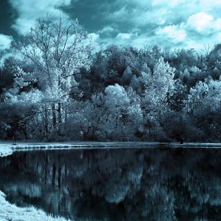 Winter lake forest wallpaper