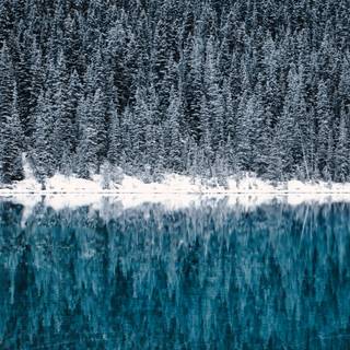 Winter lake forest wallpaper