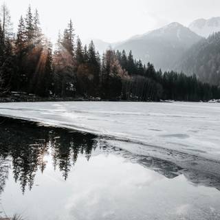 Winter lake forest wallpaper