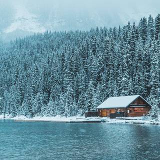 Winter lake forest wallpaper