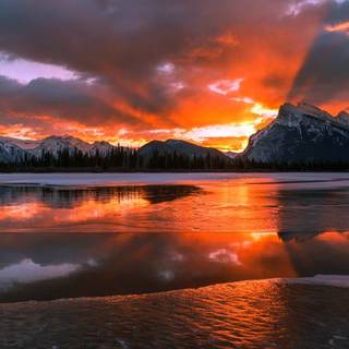 Winter lake forest wallpaper