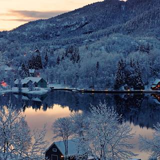 Winter lake forest wallpaper