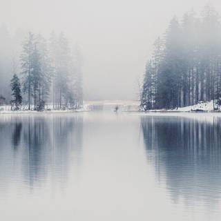 Winter lake forest wallpaper