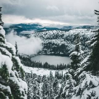 Winter lake forest wallpaper