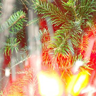 Burning Xmas tree wallpaper