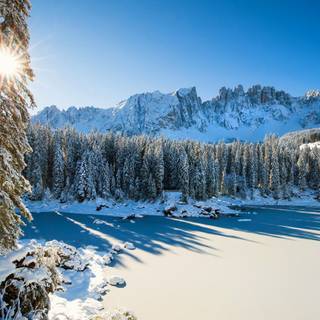 Winter lake forest wallpaper