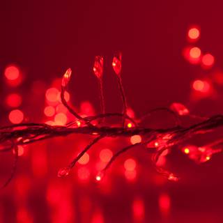 Red Christmas lights wallpaper
