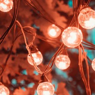 Red Christmas lights wallpaper