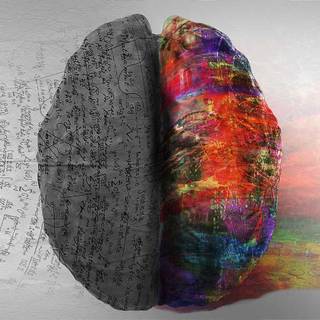 Left mind right mind wallpaper