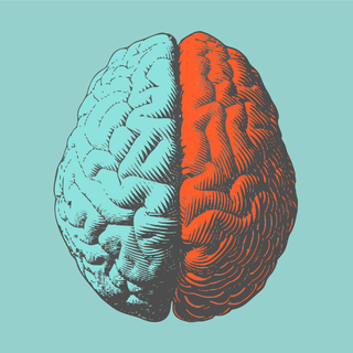 Left mind right mind wallpaper