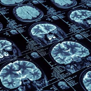 Left mind right mind wallpaper