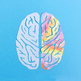 Left mind right mind wallpaper