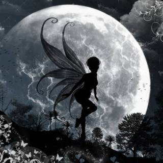 Black fairy wallpaper