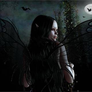 Black fairy wallpaper