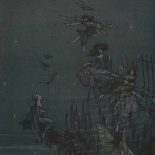 Black fairy wallpaper