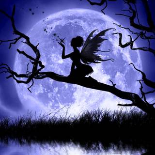 Black fairy wallpaper