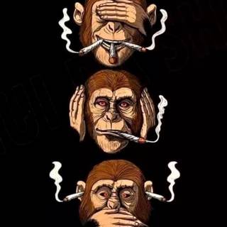 See No Evil, Hear No Evil wallpaper