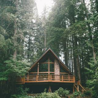 House in the woods wallpaper