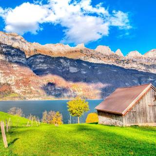 House in the woods wallpaper