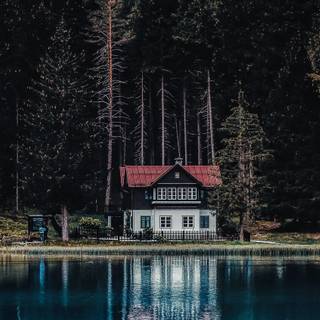 House in the woods wallpaper