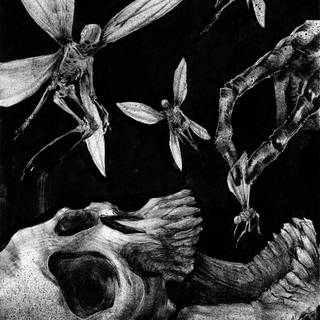 Black fairy wallpaper