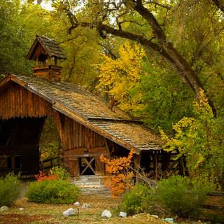 House in the woods wallpaper