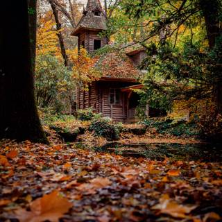 House in the woods wallpaper