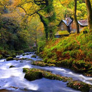 House in the woods wallpaper