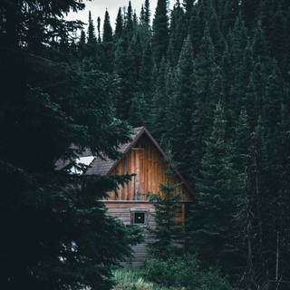 House in the woods wallpaper