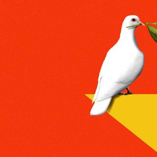 Republic of China wallpaper