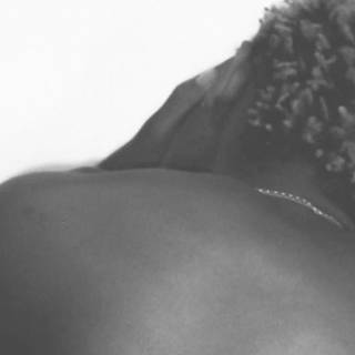 Montell Fish wallpaper