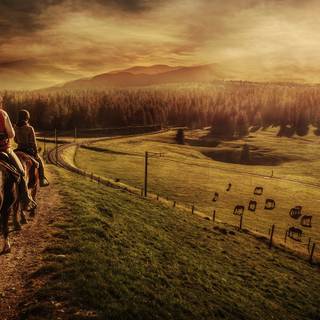 Horse ranch wallpaper