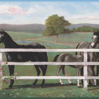 Horse ranch wallpaper
