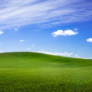 Windows 93 wallpaper