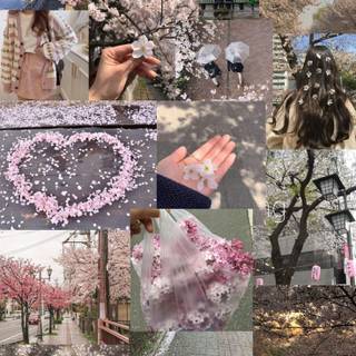 Cherry collage wallpaper